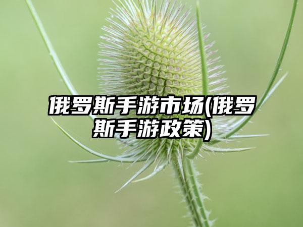 俄罗斯手游市场(俄罗斯手游政策)