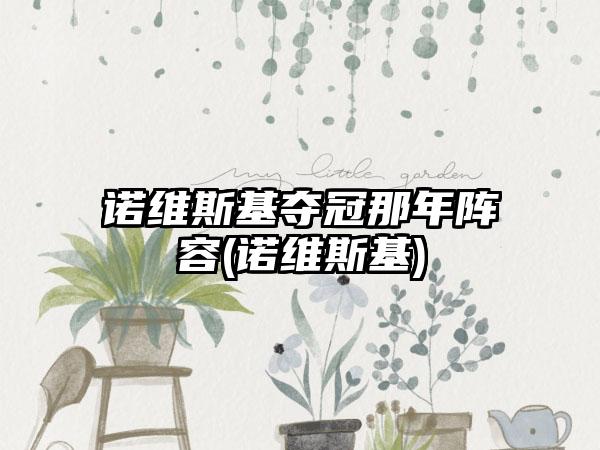 诺维斯基夺冠那年阵容(诺维斯基)