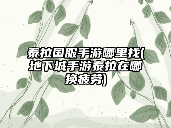 泰拉国服手游哪里找(地下城手游泰拉在哪换疲劳)