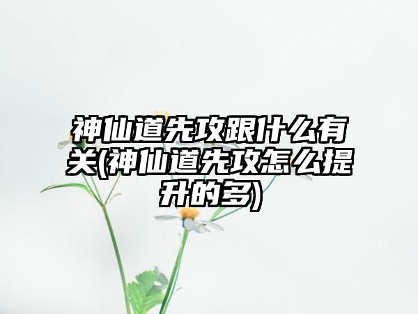 神仙道先攻跟什么有关(神仙道先攻怎么提升的多)