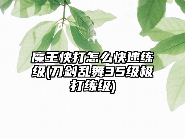 魔王快打怎么快速练级(刀剑乱舞35级极打练级)