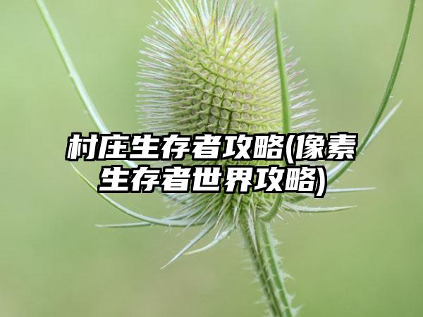 村庄生存者攻略(像素生存者世界攻略)