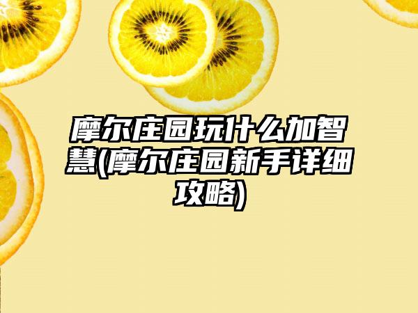 摩尔庄园玩什么加智慧(摩尔庄园新手详细攻略)