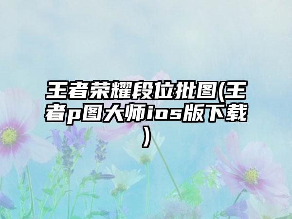 王者荣耀段位批图(王者p图大师ios版下载)
