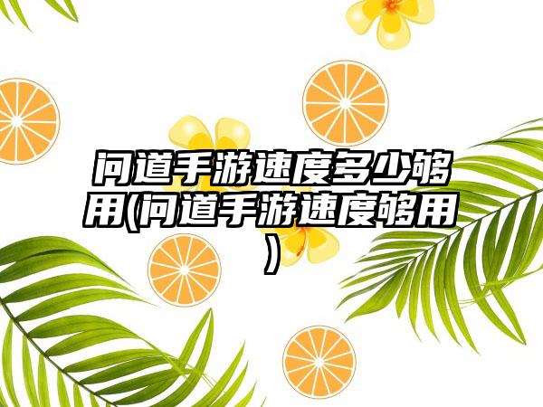 问道手游速度多少够用(问道手游速度够用)