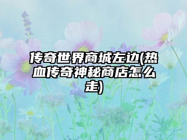 传奇世界商城左边(热血传奇神秘商店怎么走)