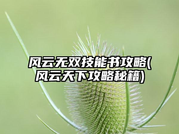 风云无双技能书攻略(风云天下攻略秘籍)