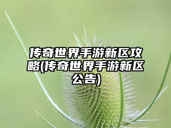 传奇世界手游新区攻略(传奇世界手游新区公告)