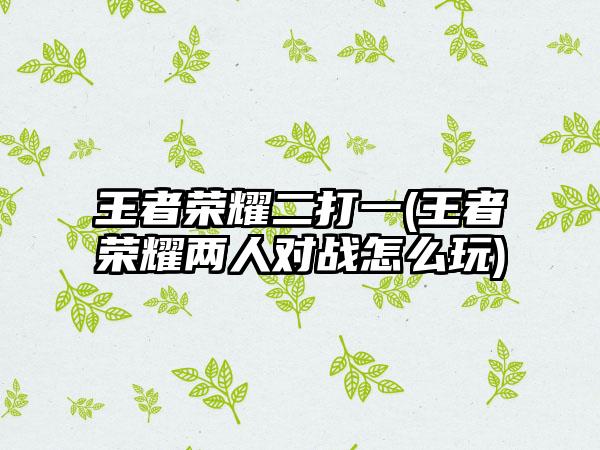 王者荣耀二打一(王者荣耀两人对战怎么玩)