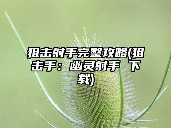 狙击射手完整攻略(狙击手：幽灵射手 下载)