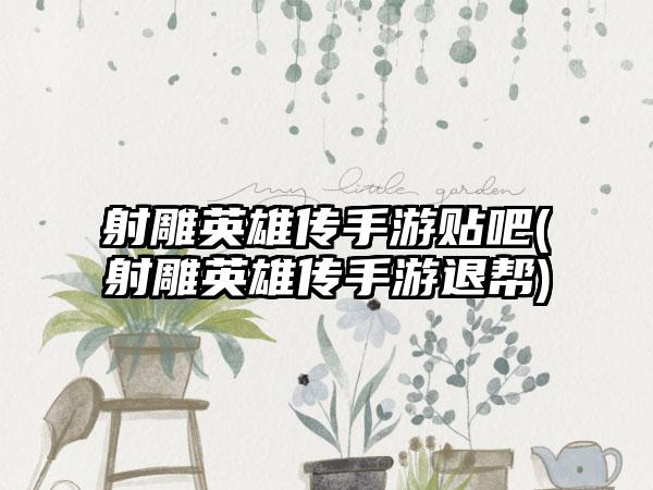 射雕英雄传手游贴吧(射雕英雄传手游退帮)