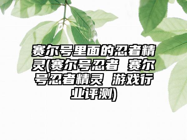 赛尔号里面的忍者精灵(赛尔号忍者 赛尔号忍者精灵 游戏行业评测)