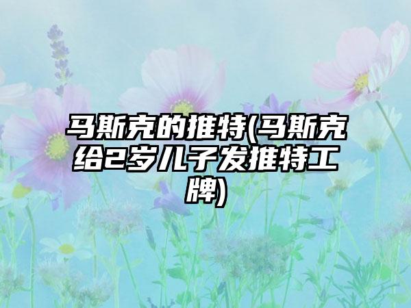 马斯克的推特(马斯克给2岁儿子发推特工牌)