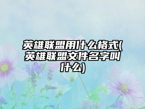 英雄联盟用什么格式(英雄联盟文件名字叫什么)