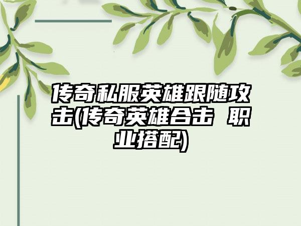 传奇私服英雄跟随攻击(传奇英雄合击 职业搭配)