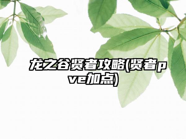 龙之谷贤者攻略(贤者pve加点)