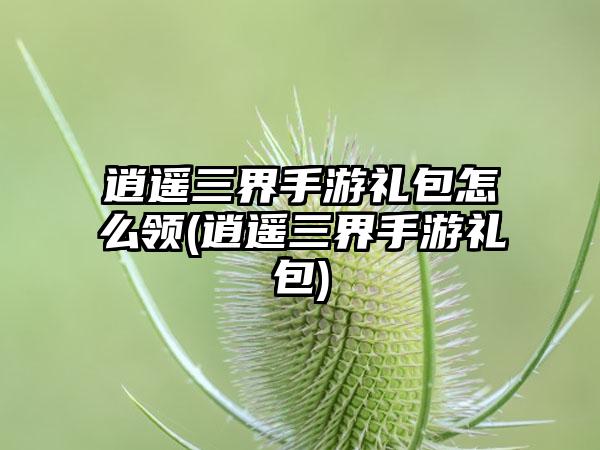 逍遥三界手游礼包怎么领(逍遥三界手游礼包)