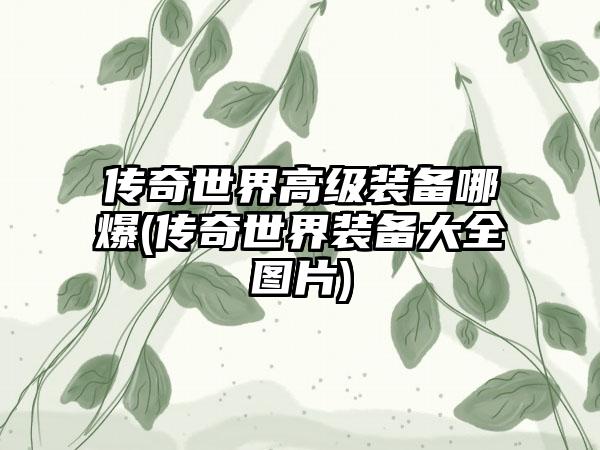 传奇世界高级装备哪爆(传奇世界装备大全图片)