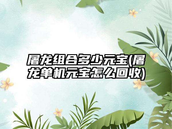 屠龙组合多少元宝(屠龙单机元宝怎么回收)