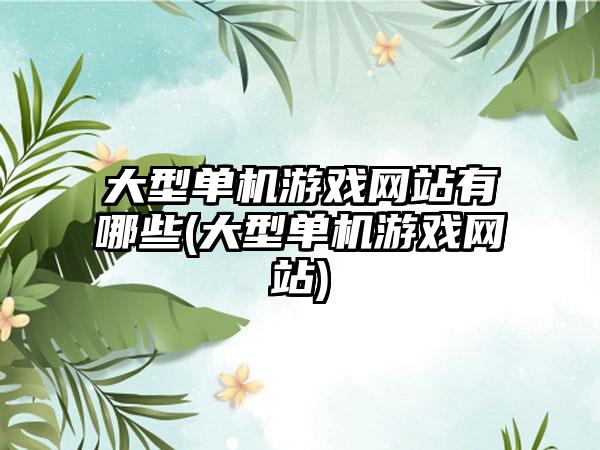 大型单机游戏网站有哪些(大型单机游戏网站)