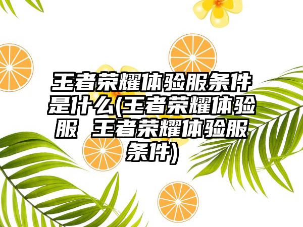 王者荣耀体验服条件是什么(王者荣耀体验服 王者荣耀体验服条件)