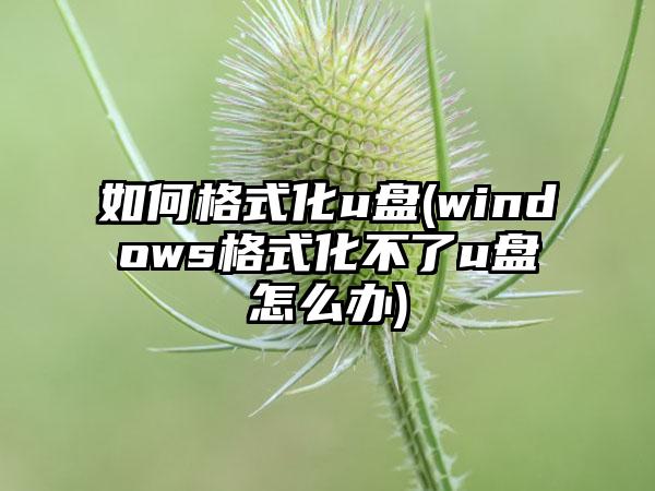 如何格式化u盘(windows格式化不了u盘怎么办)