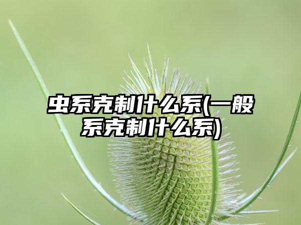 虫系克制什么系(一般系克制什么系)