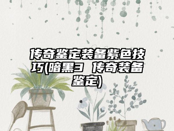 传奇鉴定装备紫色技巧(暗黑3 传奇装备鉴定)