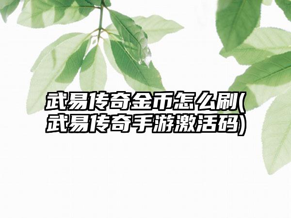 武易传奇金币怎么刷(武易传奇手游激活码)