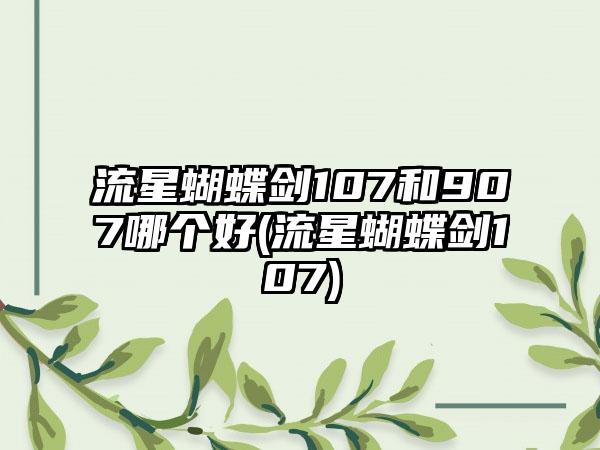 流星蝴蝶剑107和907哪个好(流星蝴蝶剑107)
