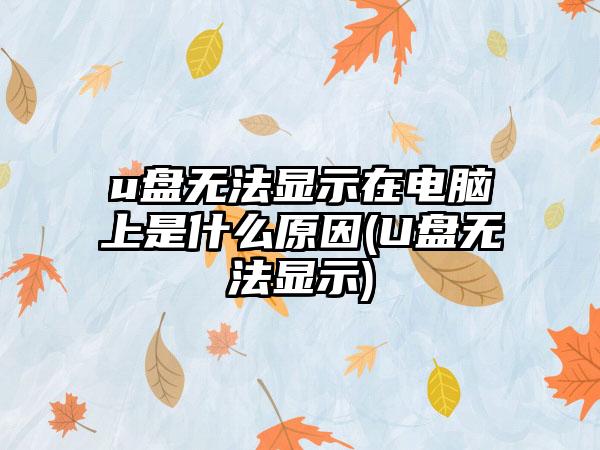 u盘无法显示在电脑上是什么原因(U盘无法显示)