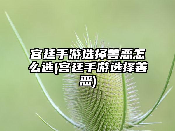 宫廷手游选择善恶怎么选(宫廷手游选择善恶)