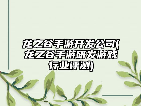 龙之谷手游开发公司(龙之谷手游研发游戏行业评测)