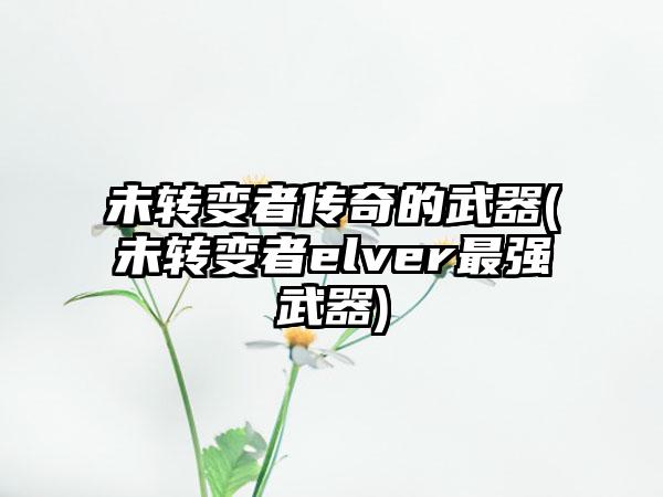 未转变者传奇的武器(未转变者elver最强武器)