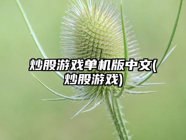 炒股游戏单机版中文(炒股游戏)