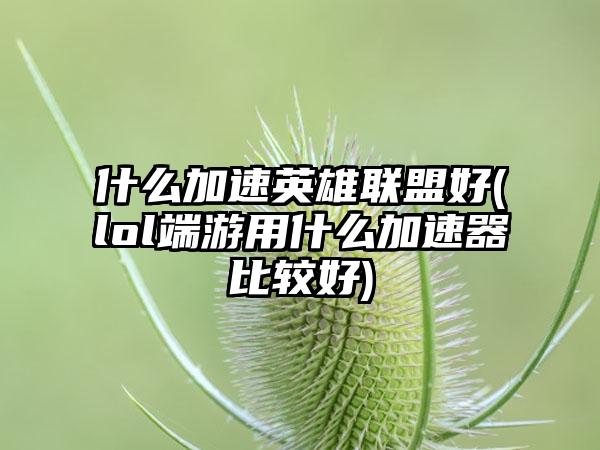 什么加速英雄联盟好(lol端游用什么加速器比较好)