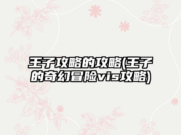 王子攻略的攻略(王子的奇幻冒险vis攻略)