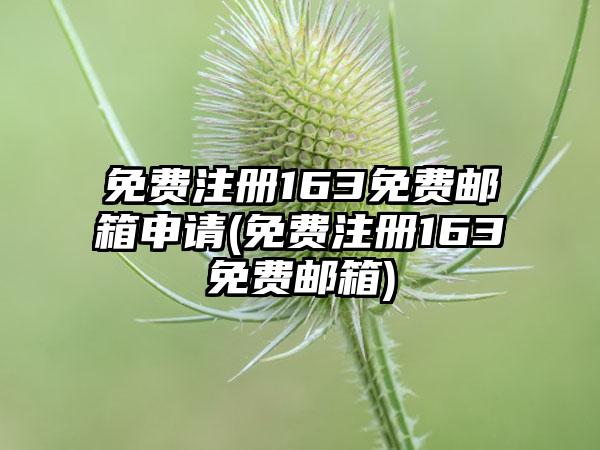 免费注册163免费邮箱申请(免费注册163免费邮箱)