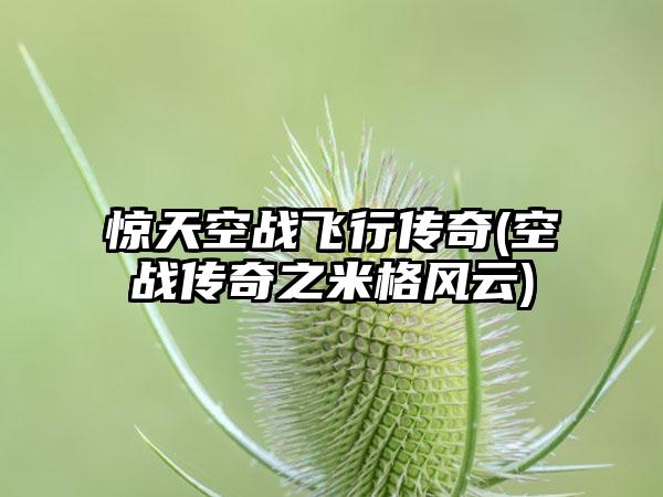 惊天空战飞行传奇(空战传奇之米格风云)