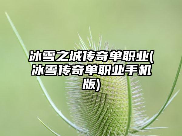 冰雪之城传奇单职业(冰雪传奇单职业手机版)