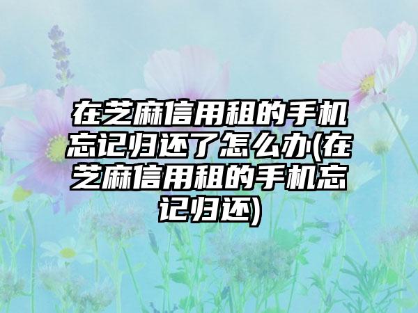 在芝麻信用租的手机忘记归还了怎么办(在芝麻信用租的手机忘记归还)