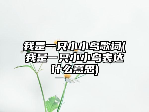我是一只小小鸟歌词(我是一只小小鸟表达什么意思)
