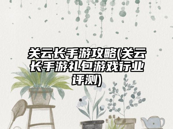关云长手游攻略(关云长手游礼包游戏行业评测)