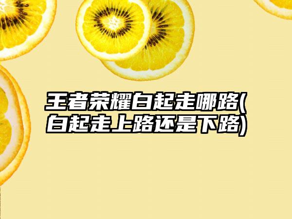 王者荣耀白起走哪路(白起走上路还是下路)