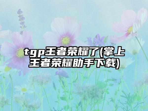 tgp王者荣耀了(掌上王者荣耀助手下载)