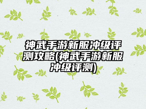 神武手游新服冲级评测攻略(神武手游新服冲级评测)