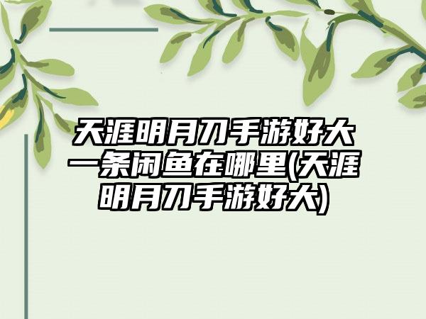 天涯明月刀手游好大一条闲鱼在哪里(天涯明月刀手游好大)