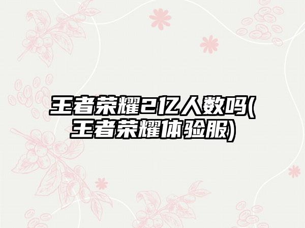 王者荣耀2亿人数吗(王者荣耀体验服)