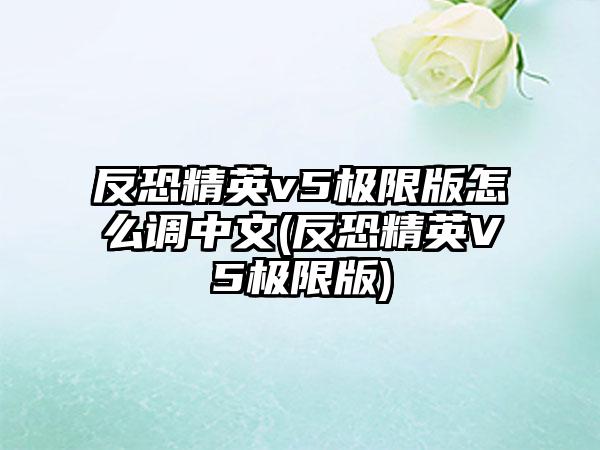 反恐精英v5极限版怎么调中文(反恐精英V5极限版)