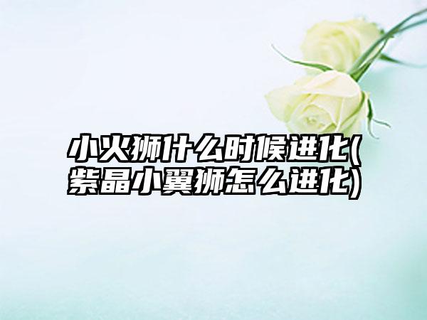 小火狮什么时候进化(紫晶小翼狮怎么进化)